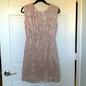 NWT J. Crew Blush Sequin Cocktail Dress